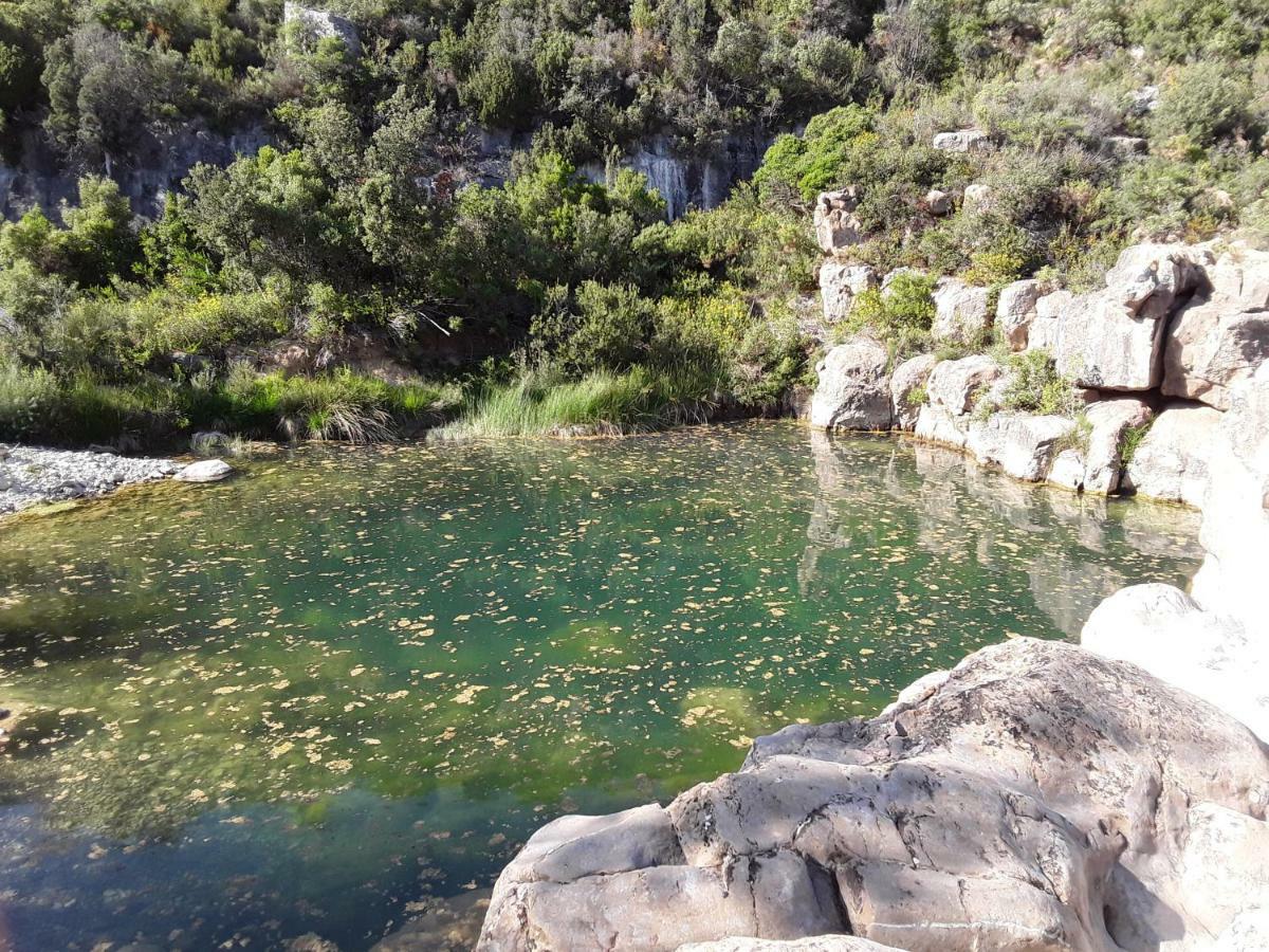 Отель Les Terres Basses Fabrezan Экстерьер фото